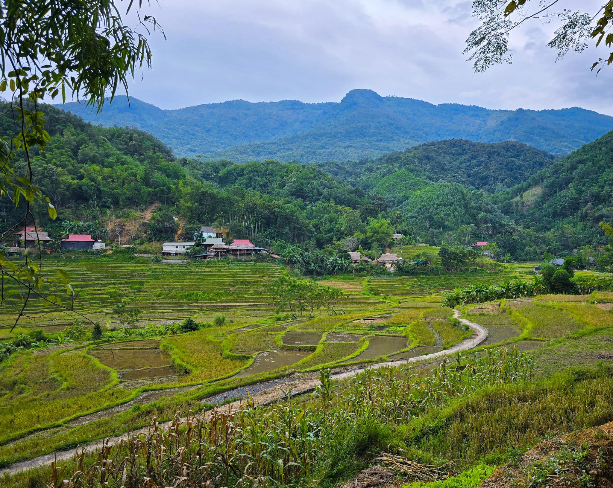 Cycling North West Vietnam Tour 11 Days